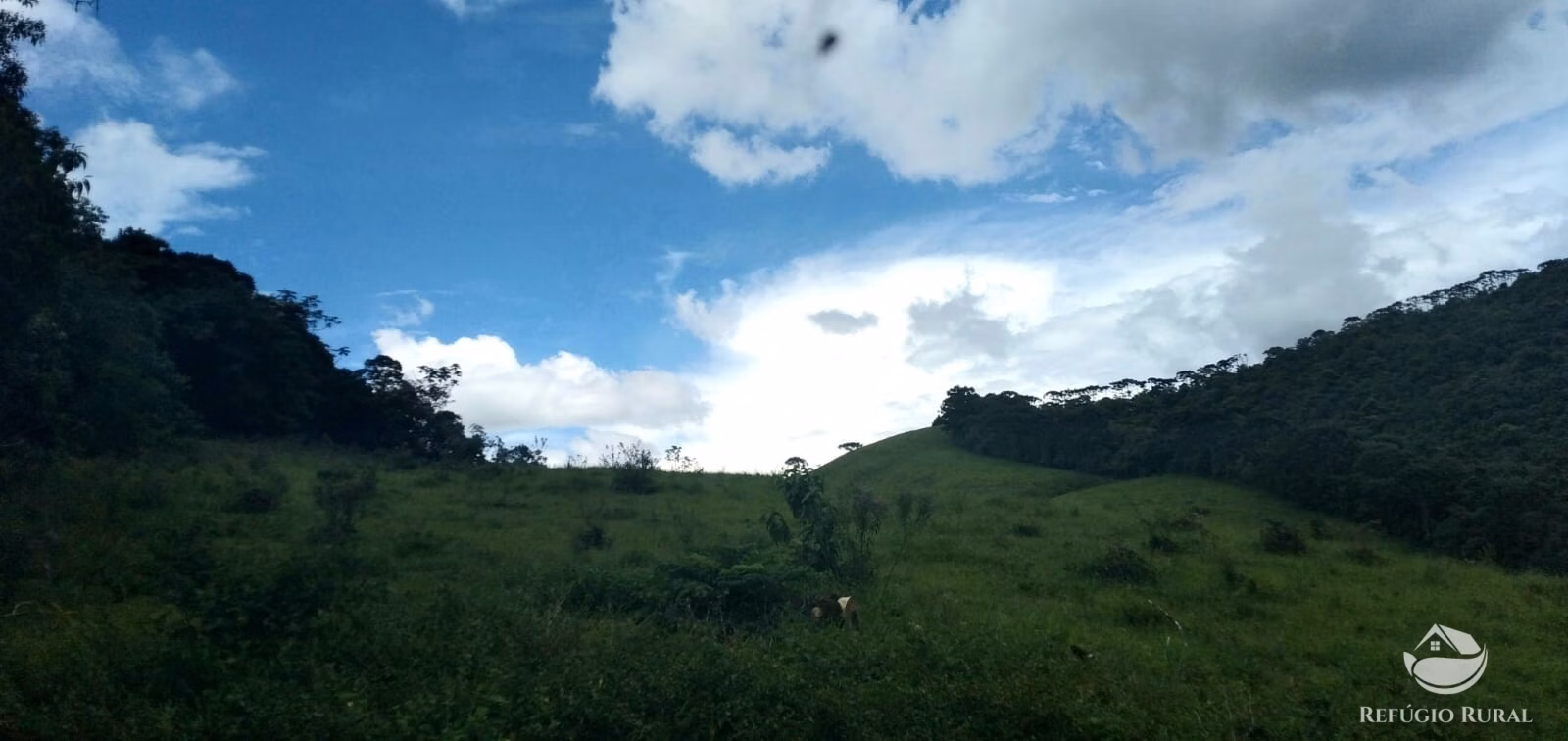 Small farm of 35 acres in São José dos Campos, SP, Brazil