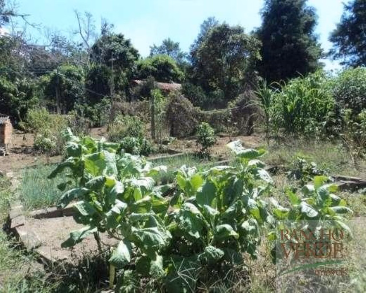 Country home of 3.750 m² in São José dos Campos, SP, Brazil