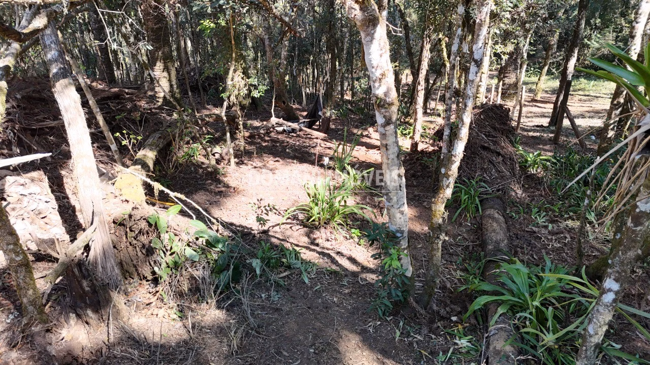 Plot of 1,080 m² in Campos do Jordão, SP, Brazil