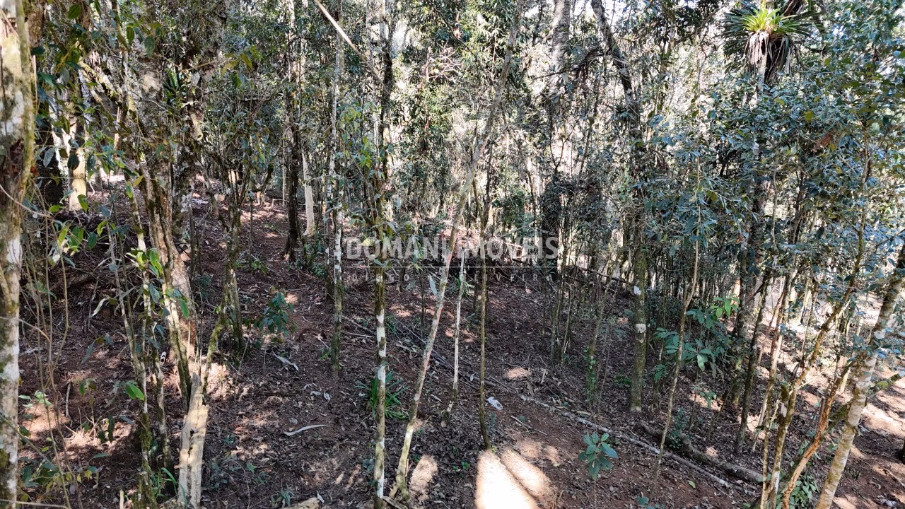 Plot of 1,080 m² in Campos do Jordão, SP, Brazil