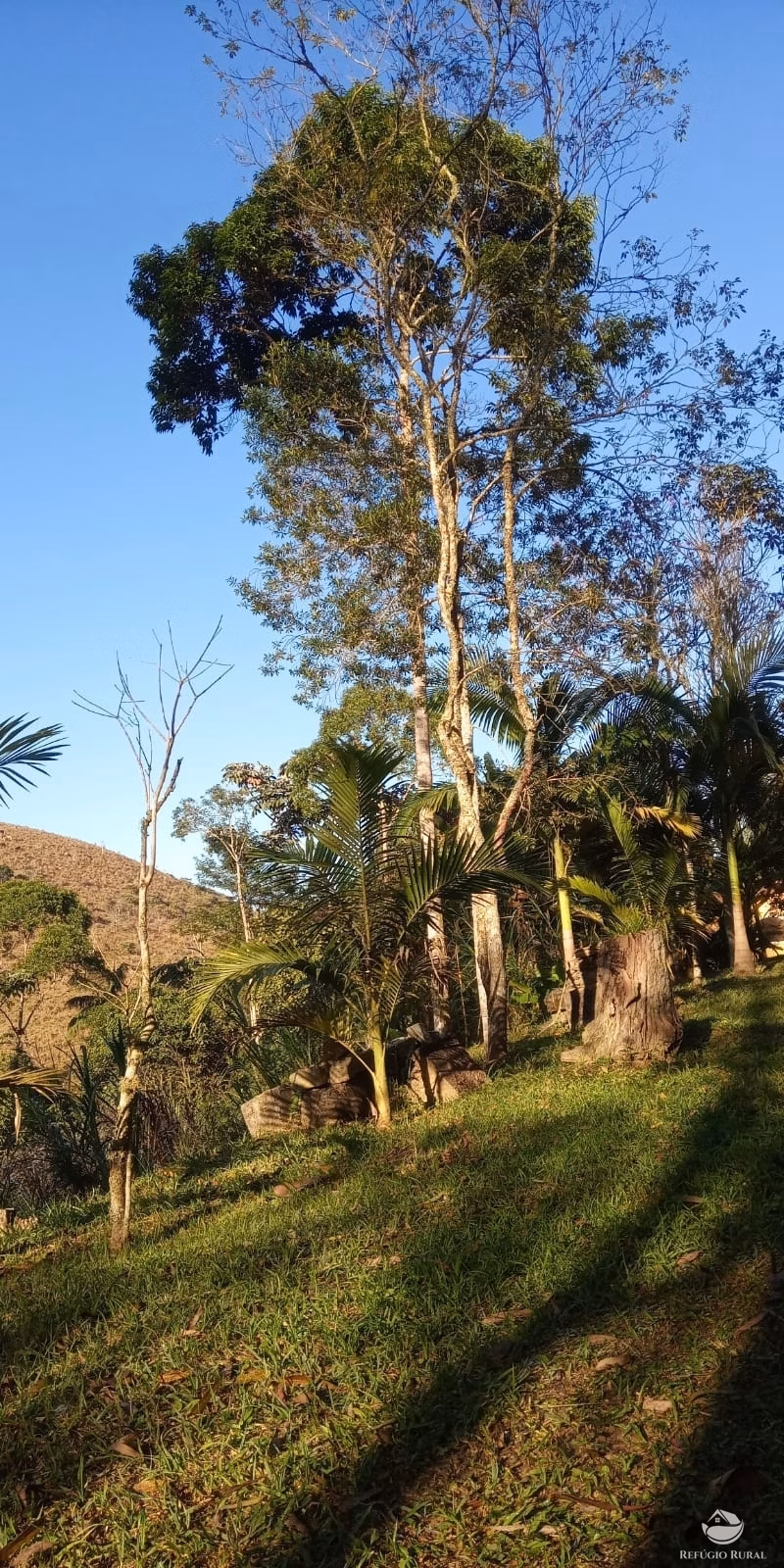 Small farm of 22 acres in São José dos Campos, SP, Brazil