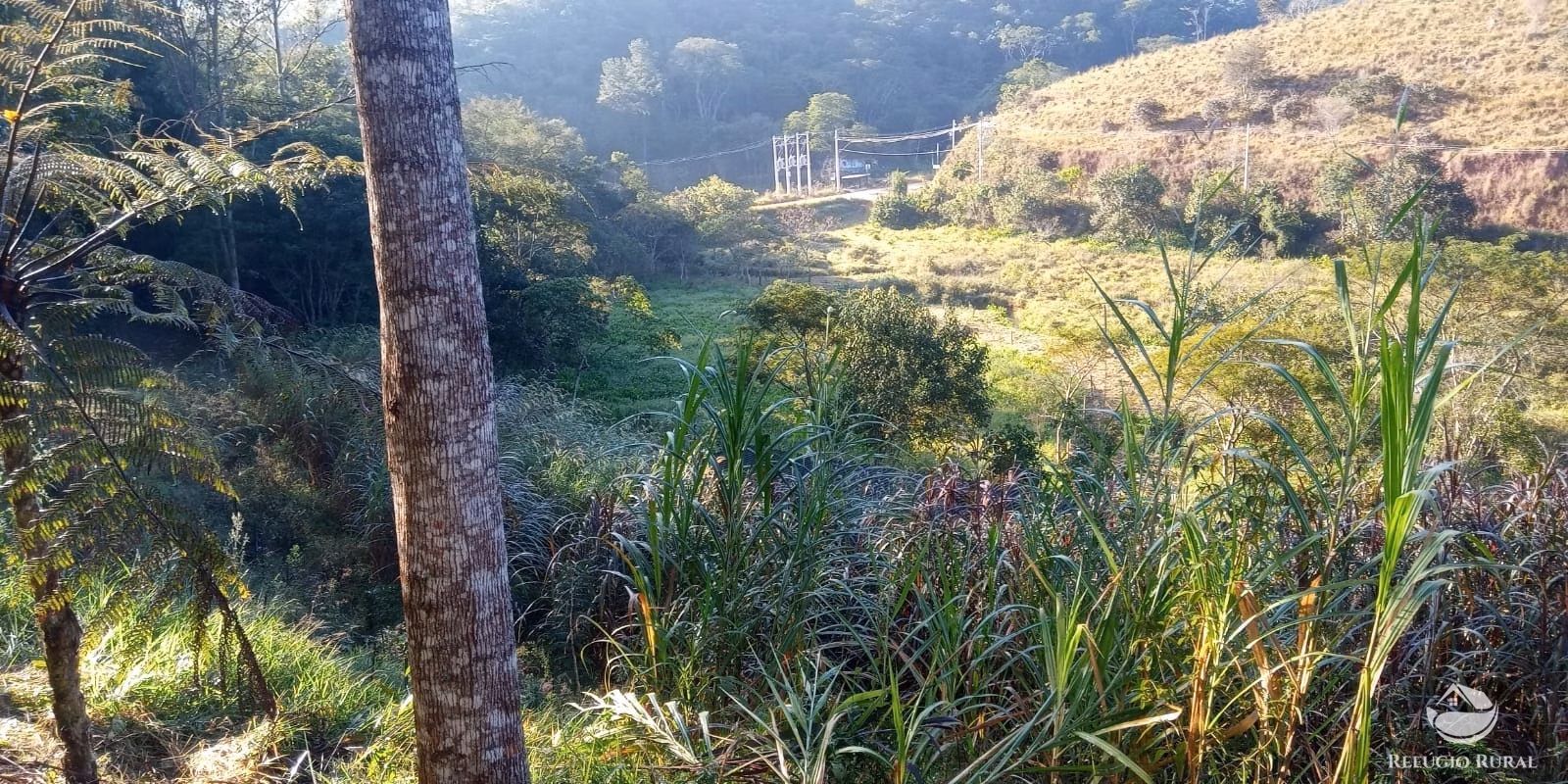 Small farm of 22 acres in São José dos Campos, SP, Brazil