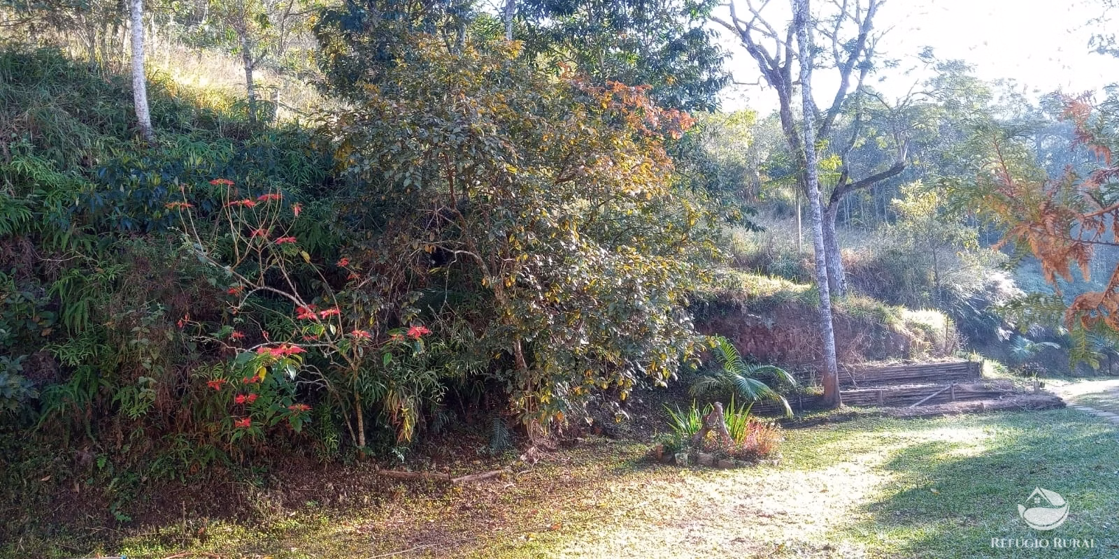 Small farm of 22 acres in São José dos Campos, SP, Brazil