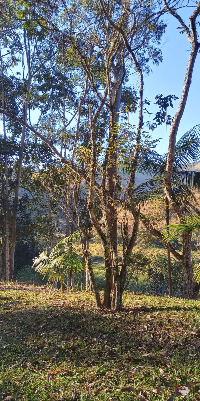 Small farm of 22 acres in São José dos Campos, SP, Brazil