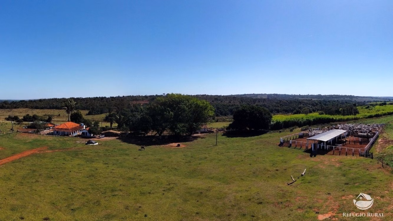 Fazenda de 379 ha em Aparecida do Taboado, MS