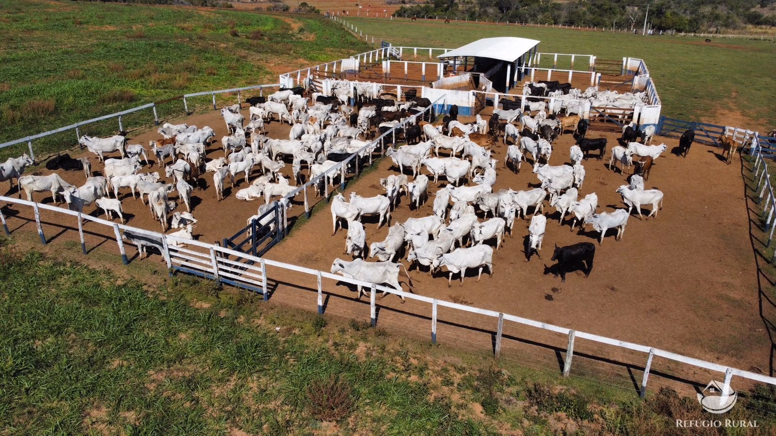 Fazenda de 379 ha em Aparecida do Taboado, MS