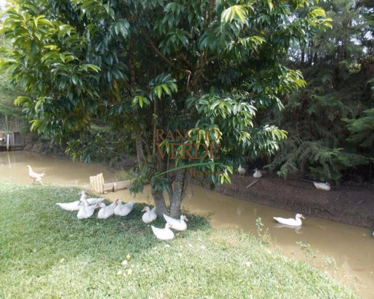 Chácara de 1 ha em Paraibuna, SP