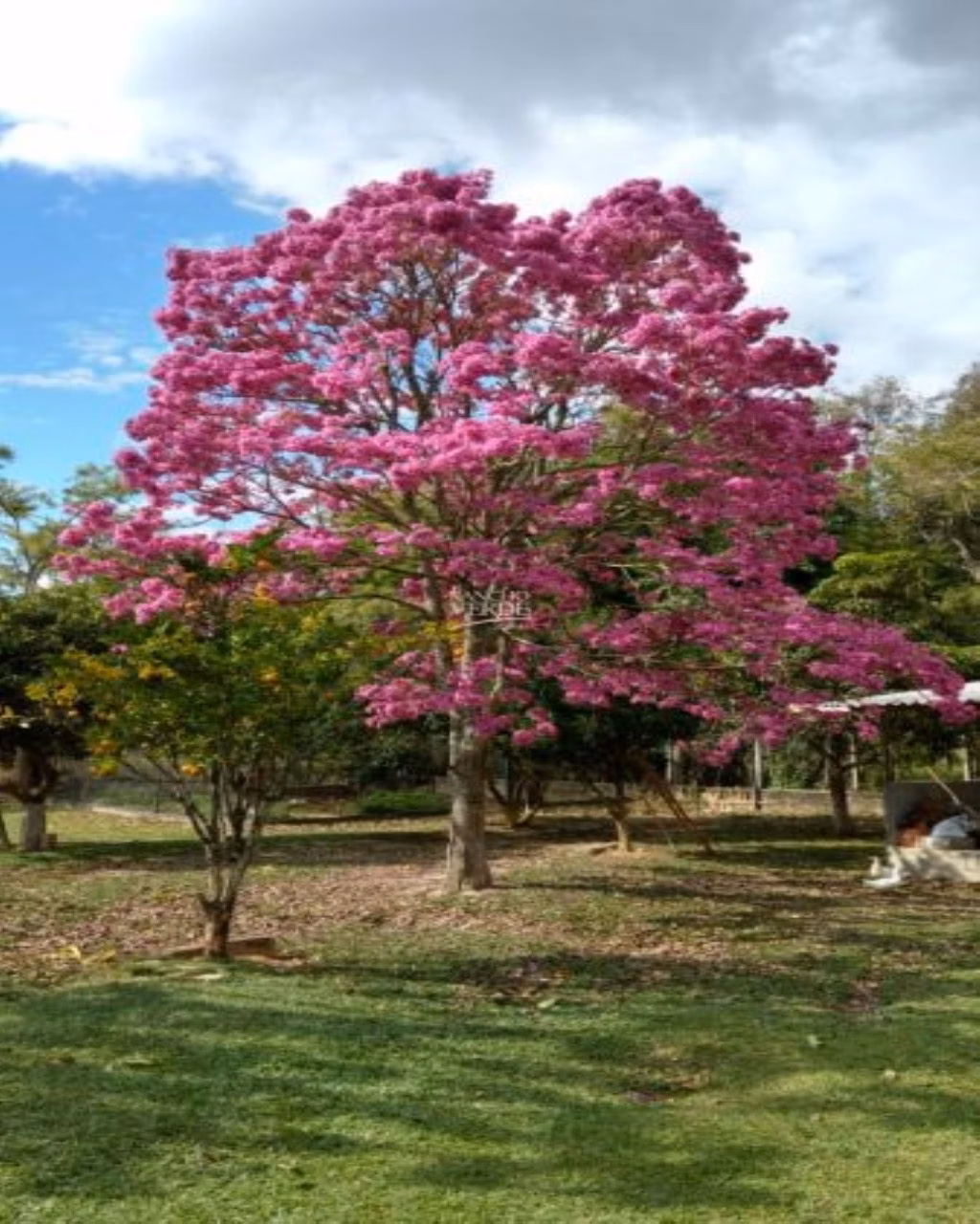 Chácara de 1 ha em Paraibuna, SP