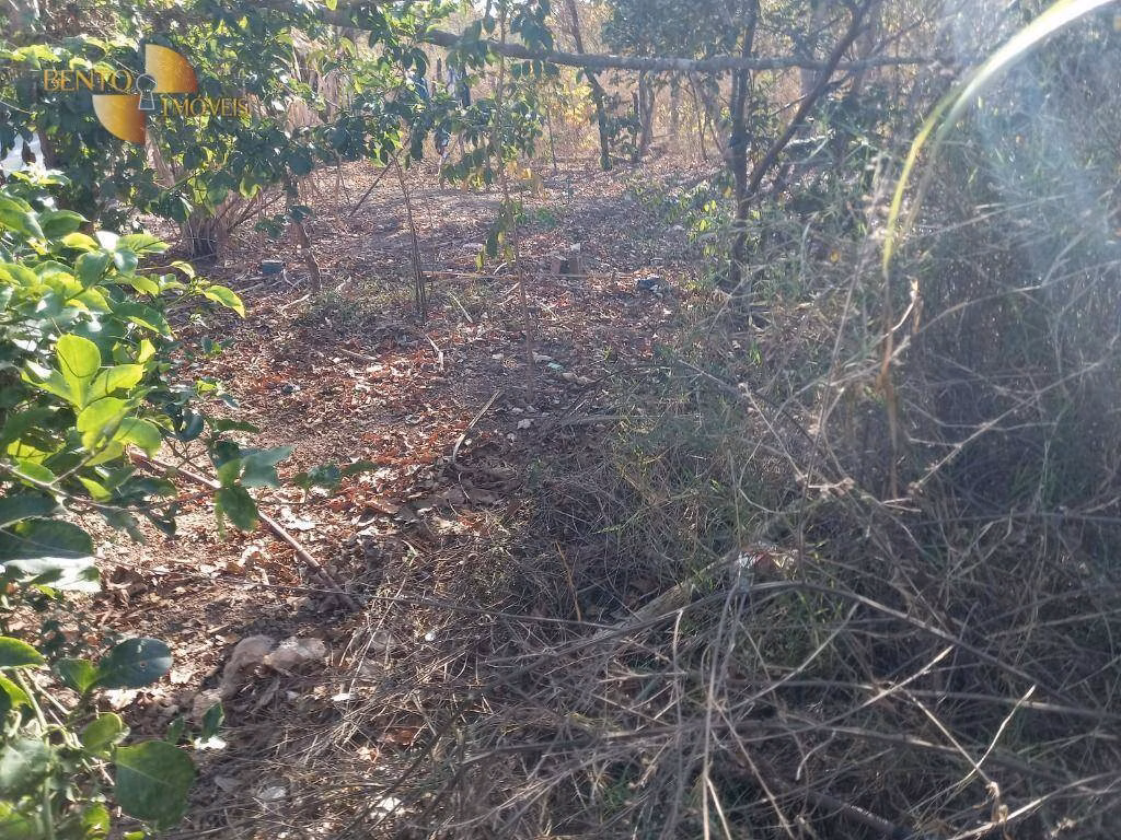 Farm of 853 acres in Jangada, MT, Brazil