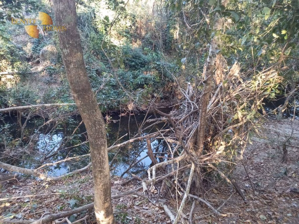 Fazenda de 345 ha em Jangada, MT