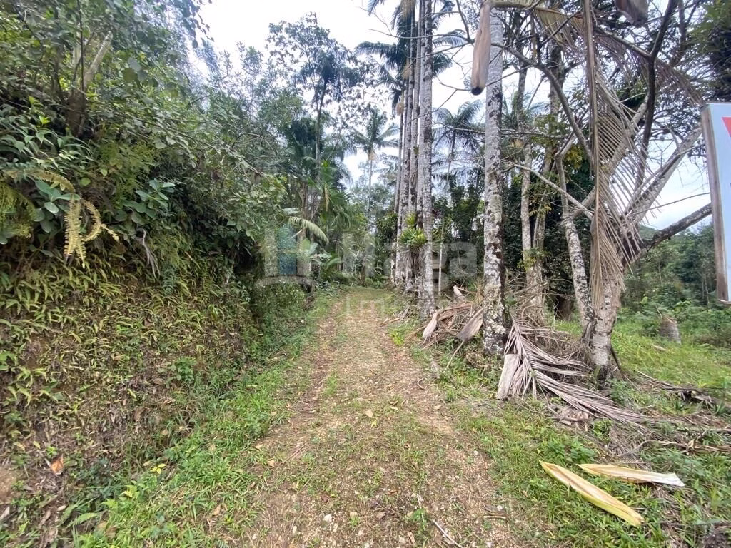 Terreno de 19 ha em Nova Trento, SC