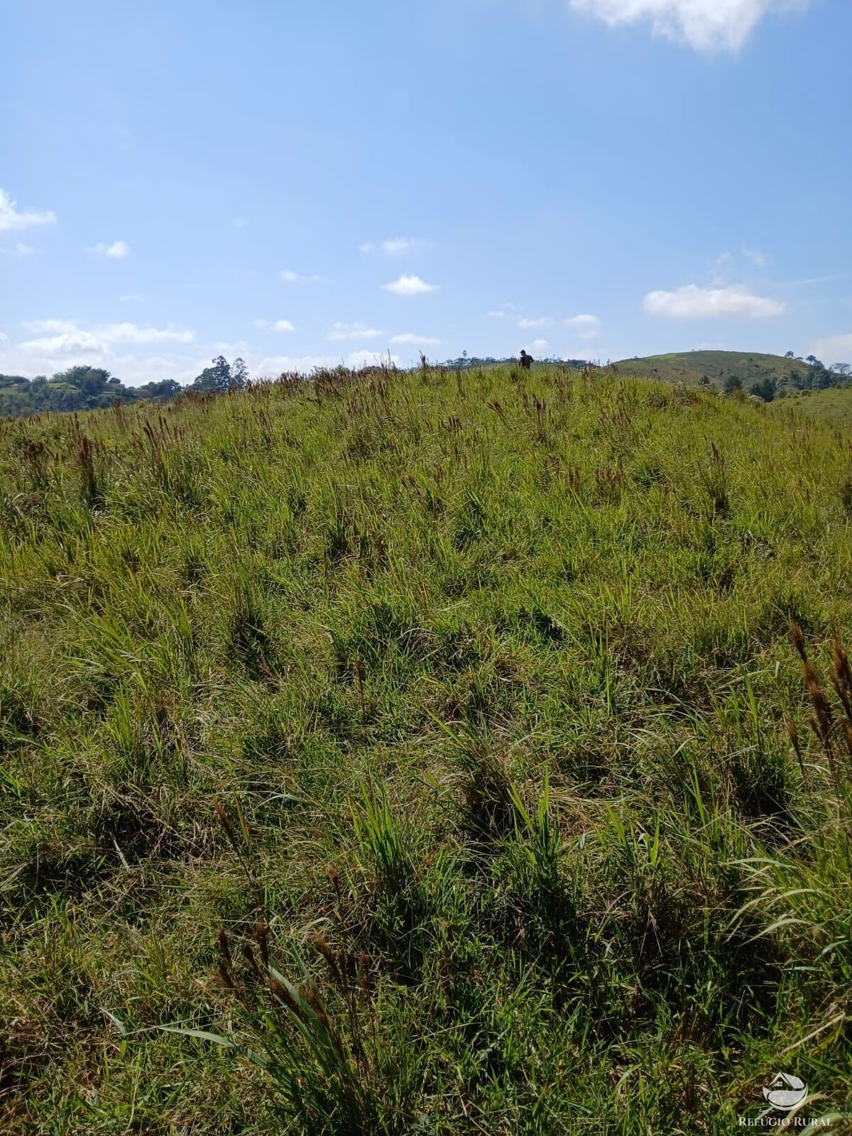 Terreno de 2 ha em Igaratá, SP