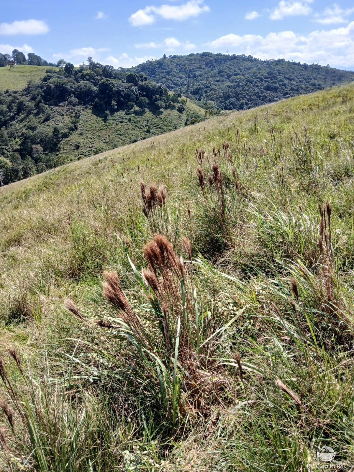 Plot of 5 acres in Igaratá, SP, Brazil