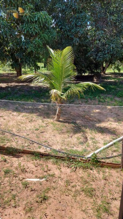 Fazenda de 893 ha em Tesouro, MT