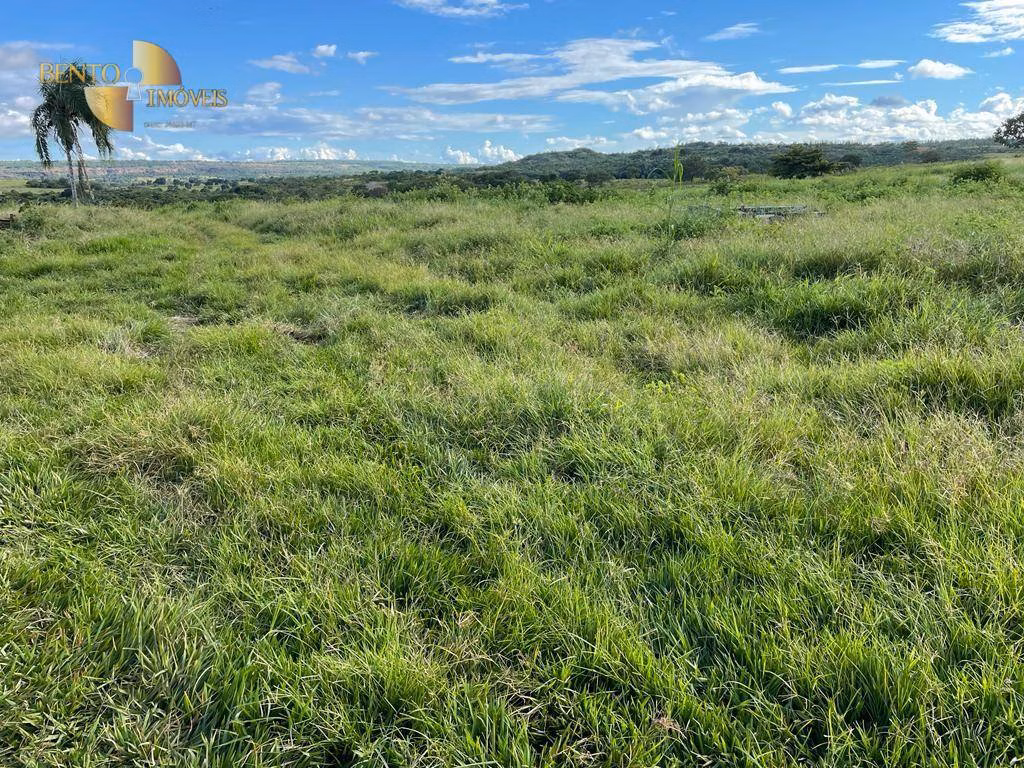 Fazenda de 893 ha em Tesouro, MT