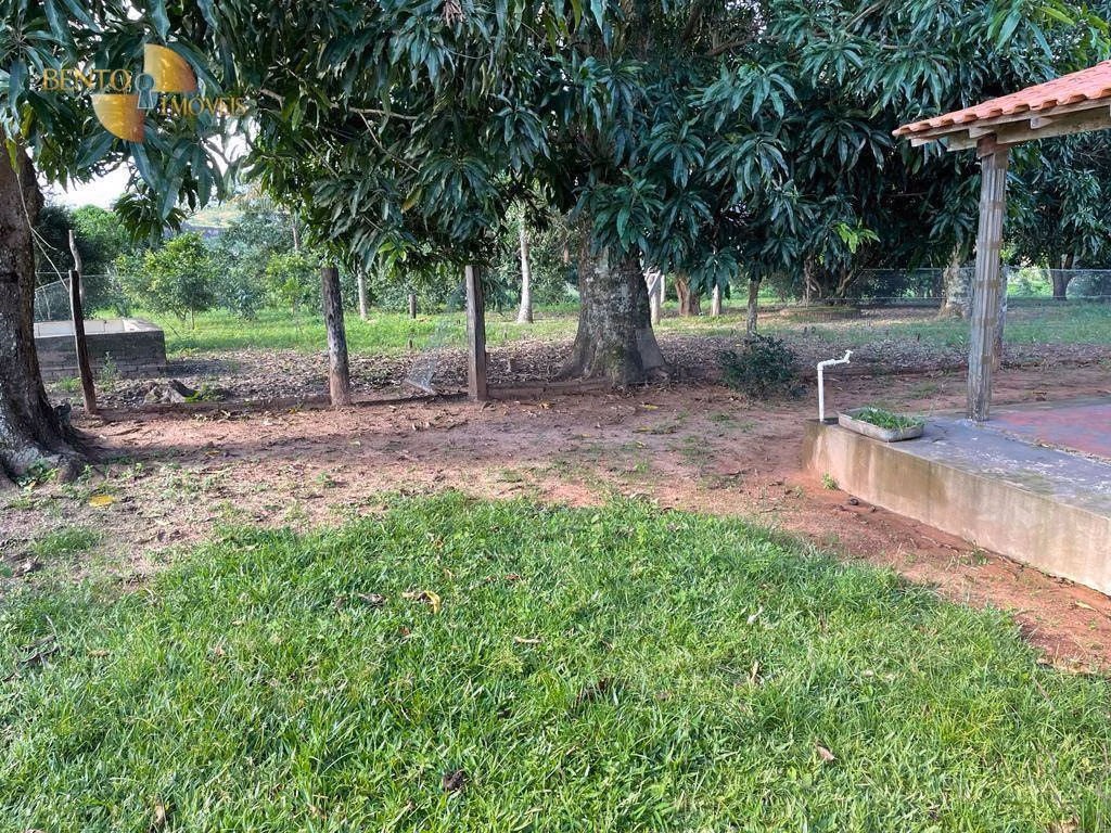 Fazenda de 893 ha em Tesouro, MT