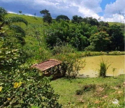 Small farm of 30 acres in São José dos Campos, SP, Brazil