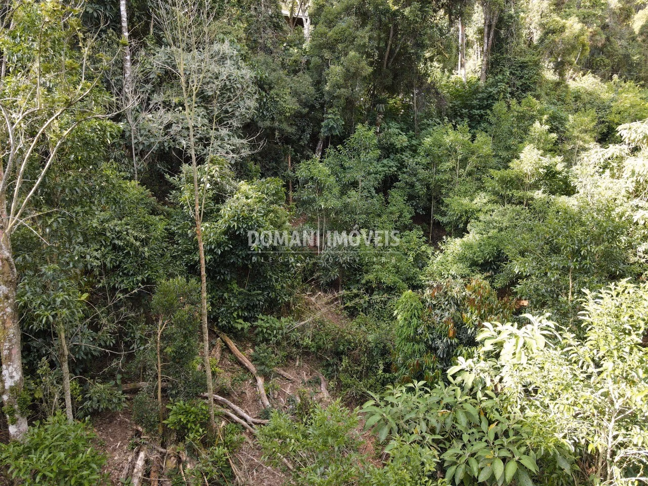 Plot of 2,050 m² in Campos do Jordão, SP, Brazil