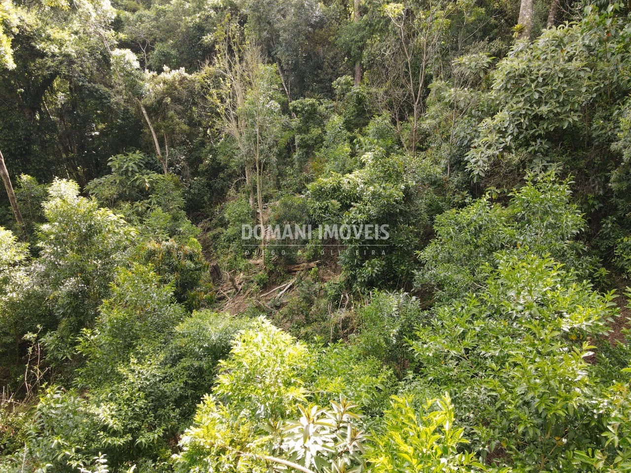 Plot of 2,050 m² in Campos do Jordão, SP, Brazil