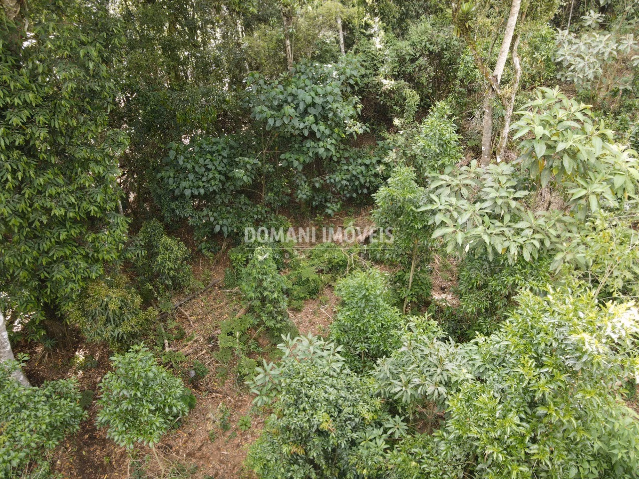 Plot of 2,050 m² in Campos do Jordão, SP, Brazil