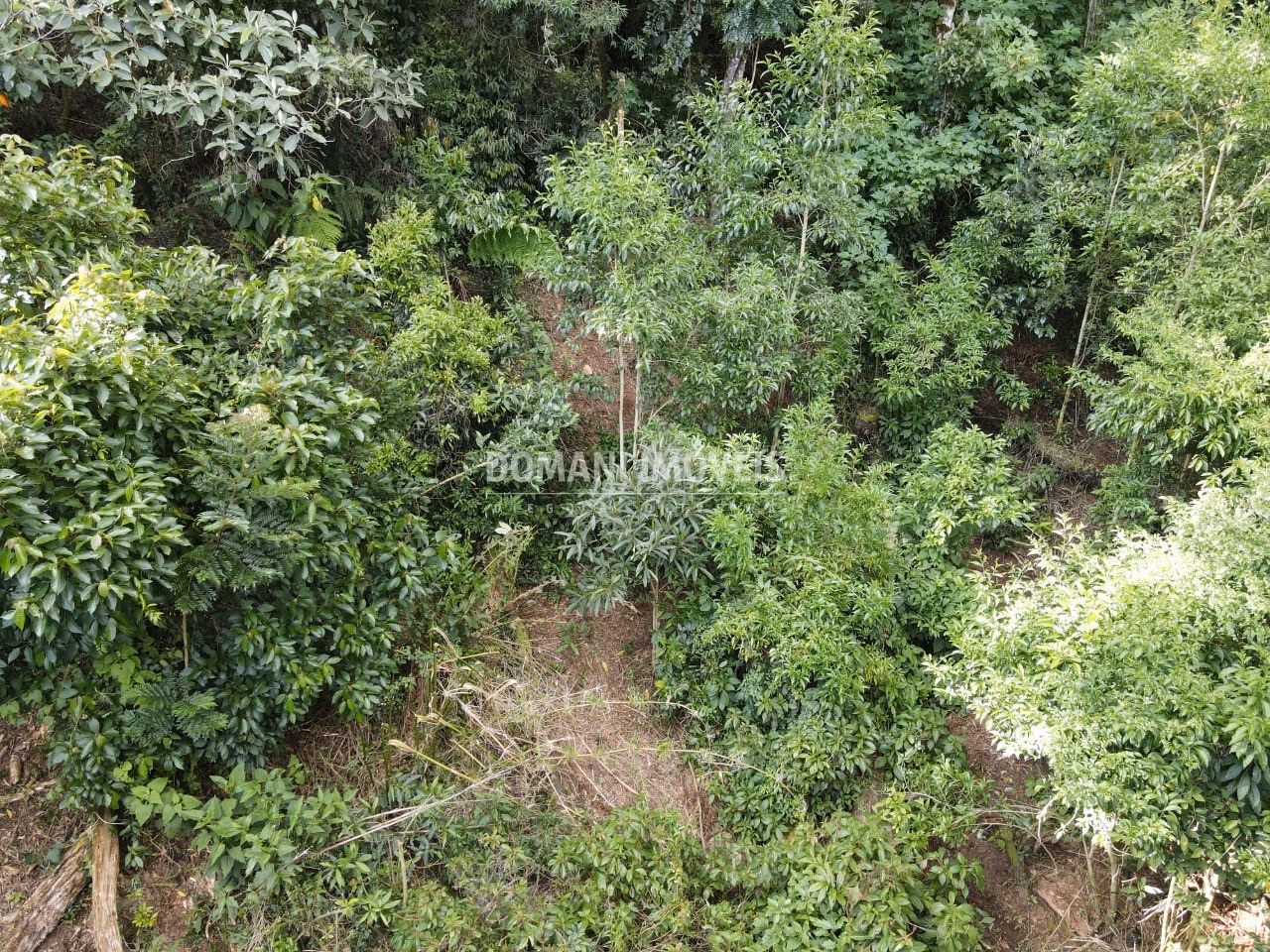Plot of 2,050 m² in Campos do Jordão, SP, Brazil