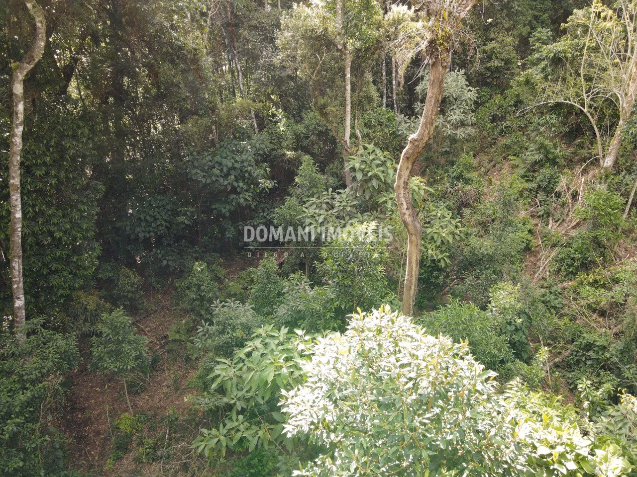 Plot of 2,050 m² in Campos do Jordão, SP, Brazil