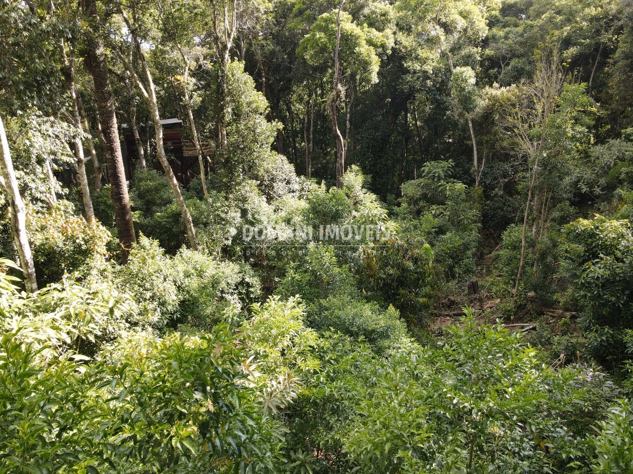 Plot of 2,050 m² in Campos do Jordão, SP, Brazil