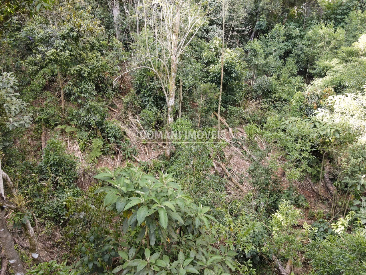 Terreno de 2.050 m² em Campos do Jordão, SP