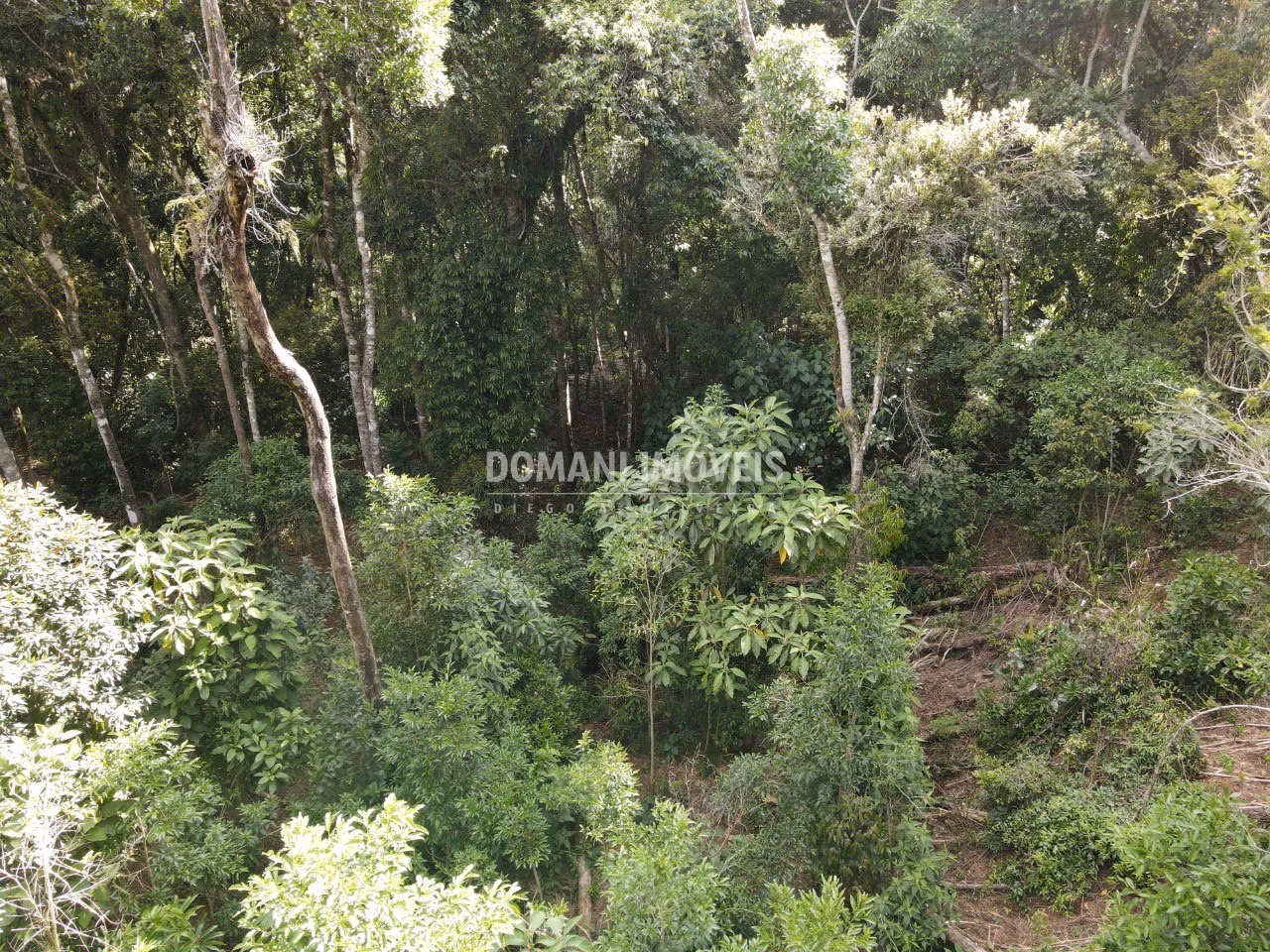 Plot of 2,050 m² in Campos do Jordão, SP, Brazil