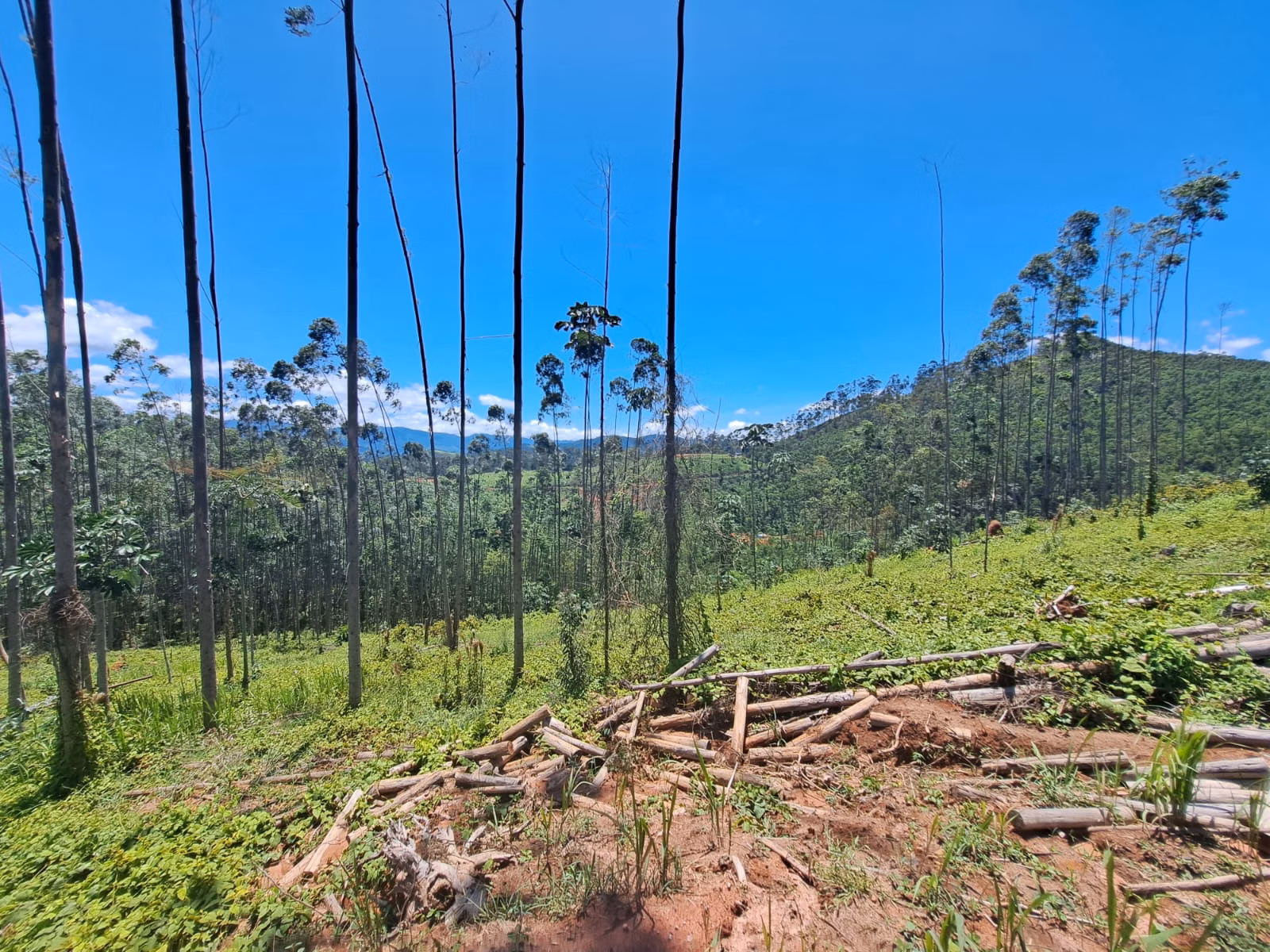 Terreno de 3 ha em Monteiro Lobato, SP