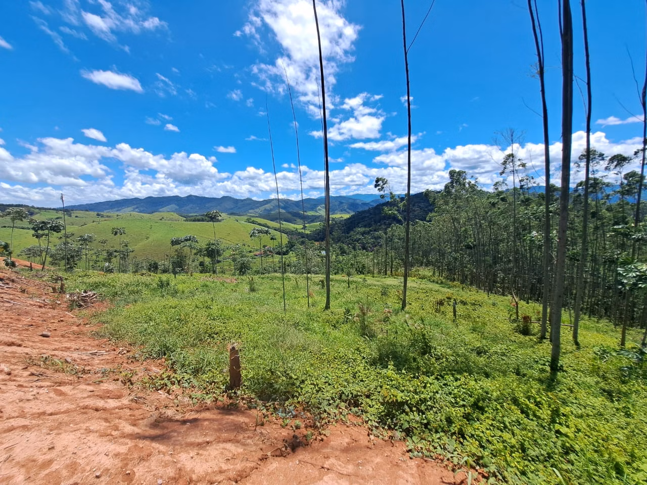 Terreno de 3 ha em Monteiro Lobato, SP