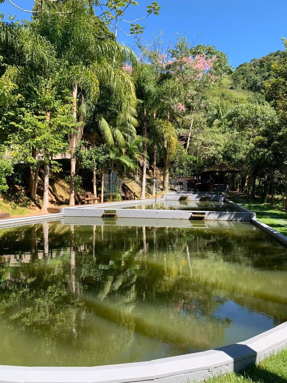 Chácara de 3 ha em Tijucas, SC