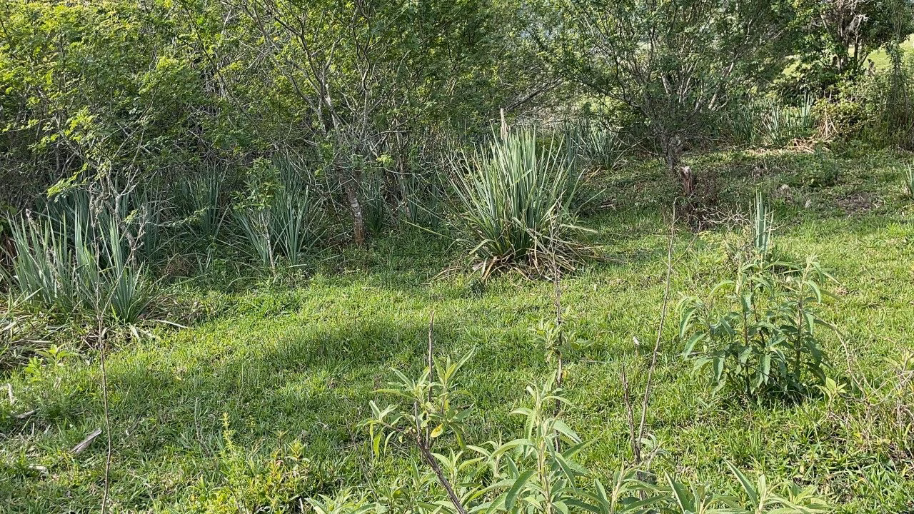Terreno de 4 ha em Santo Antônio da Patrulha, RS