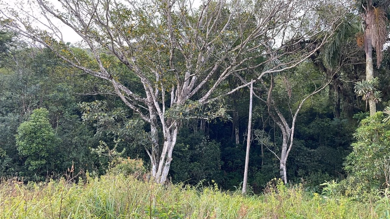 Terreno de 4 ha em Santo Antônio da Patrulha, RS