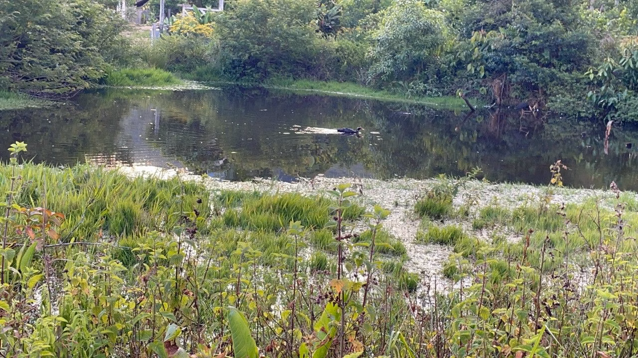 Terreno de 4 ha em Santo Antônio da Patrulha, RS