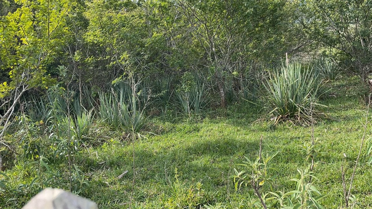 Terreno de 4 ha em Santo Antônio da Patrulha, RS