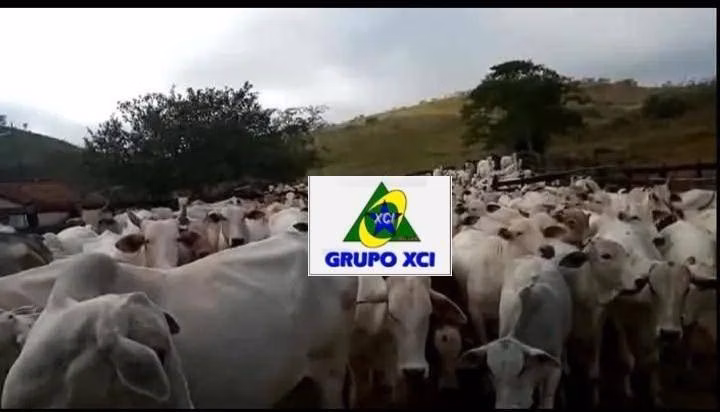 Farm zum Verkauf von 61 ha in Cachoeira Paulista, SP