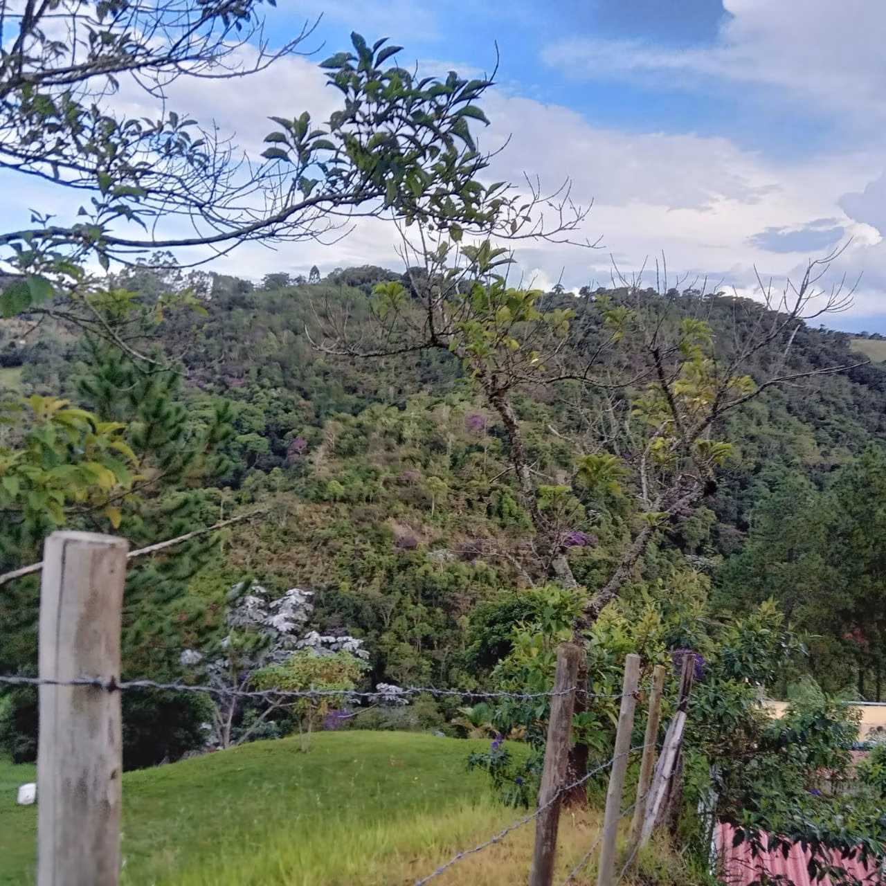Sítio de 2 ha em Monteiro Lobato, SP