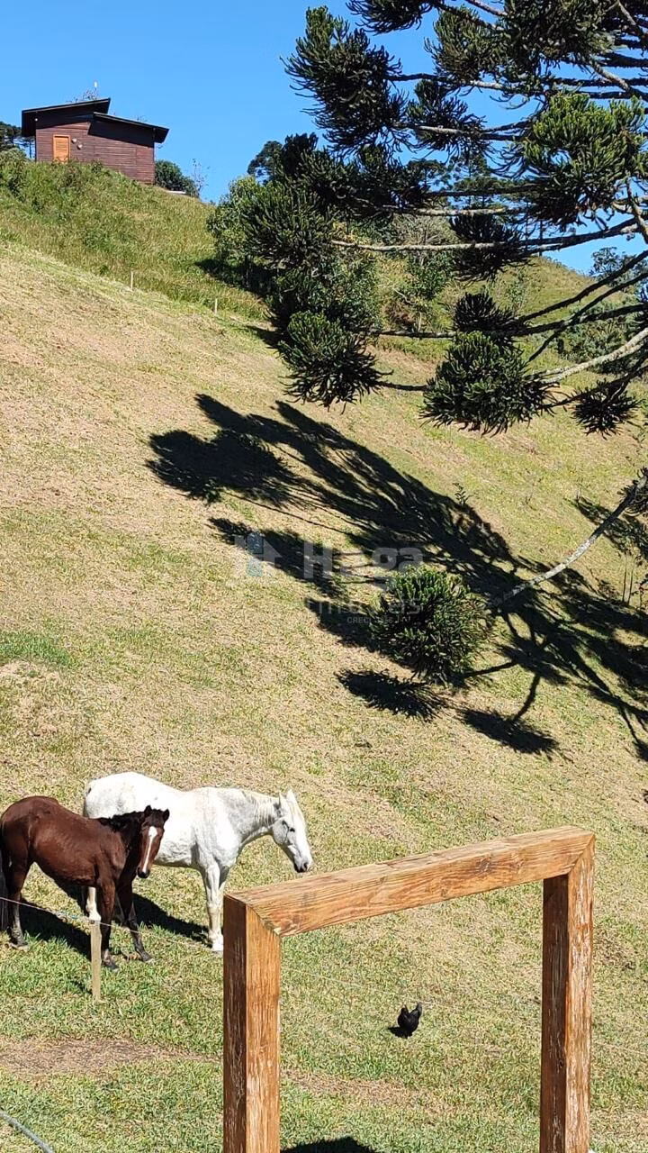Chácara de 2 ha em Alfredo Wagner, SC