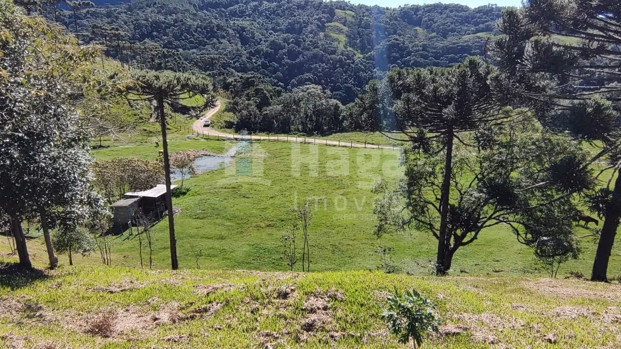 Chácara de 2 ha em Alfredo Wagner, SC