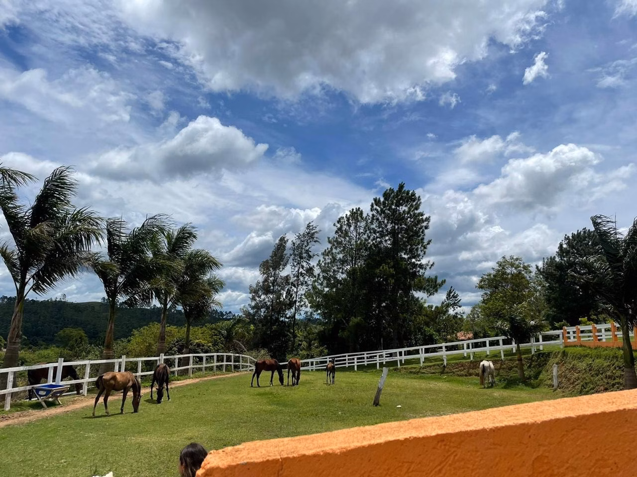 Chácara de 2 ha em Igaratá, SP