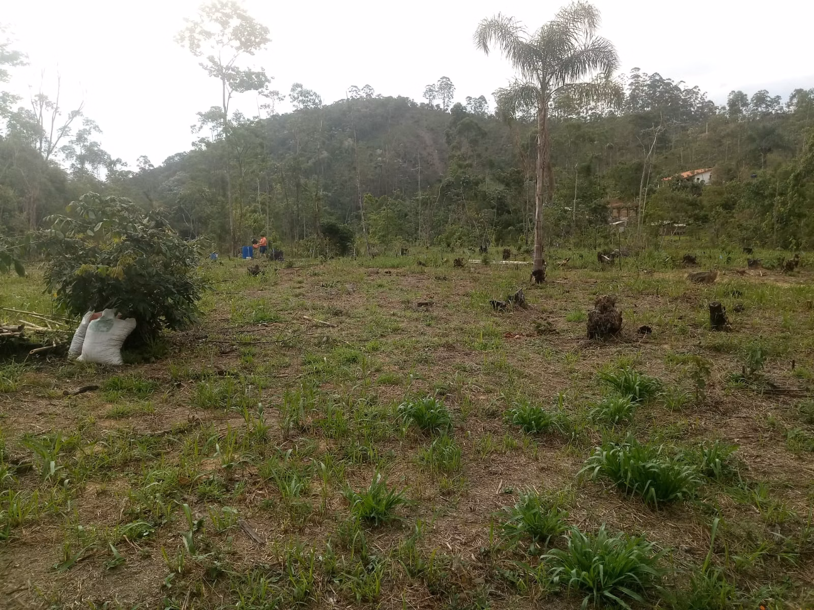 Sítio de 2 ha em Monteiro Lobato, SP