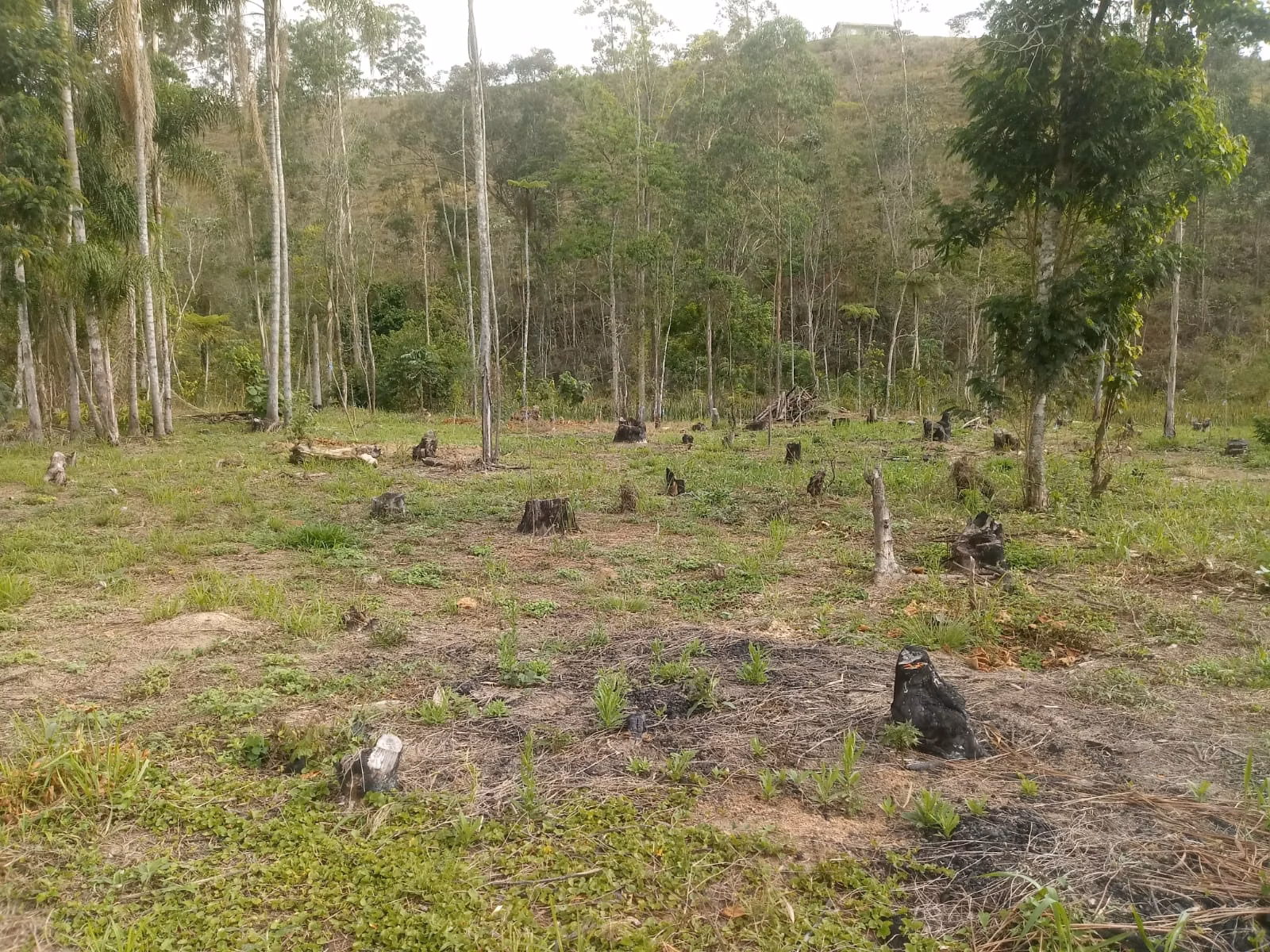 Sítio de 2 ha em Monteiro Lobato, SP
