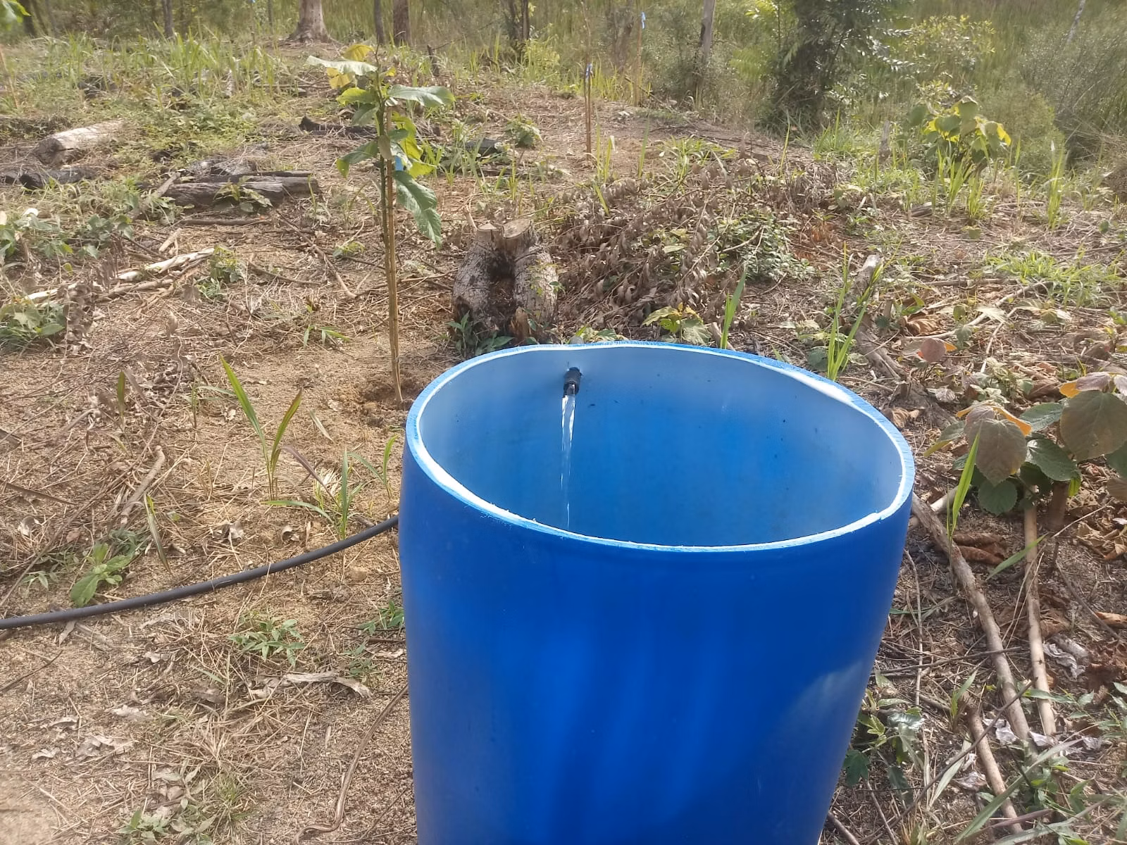 Sítio de 2 ha em Monteiro Lobato, SP