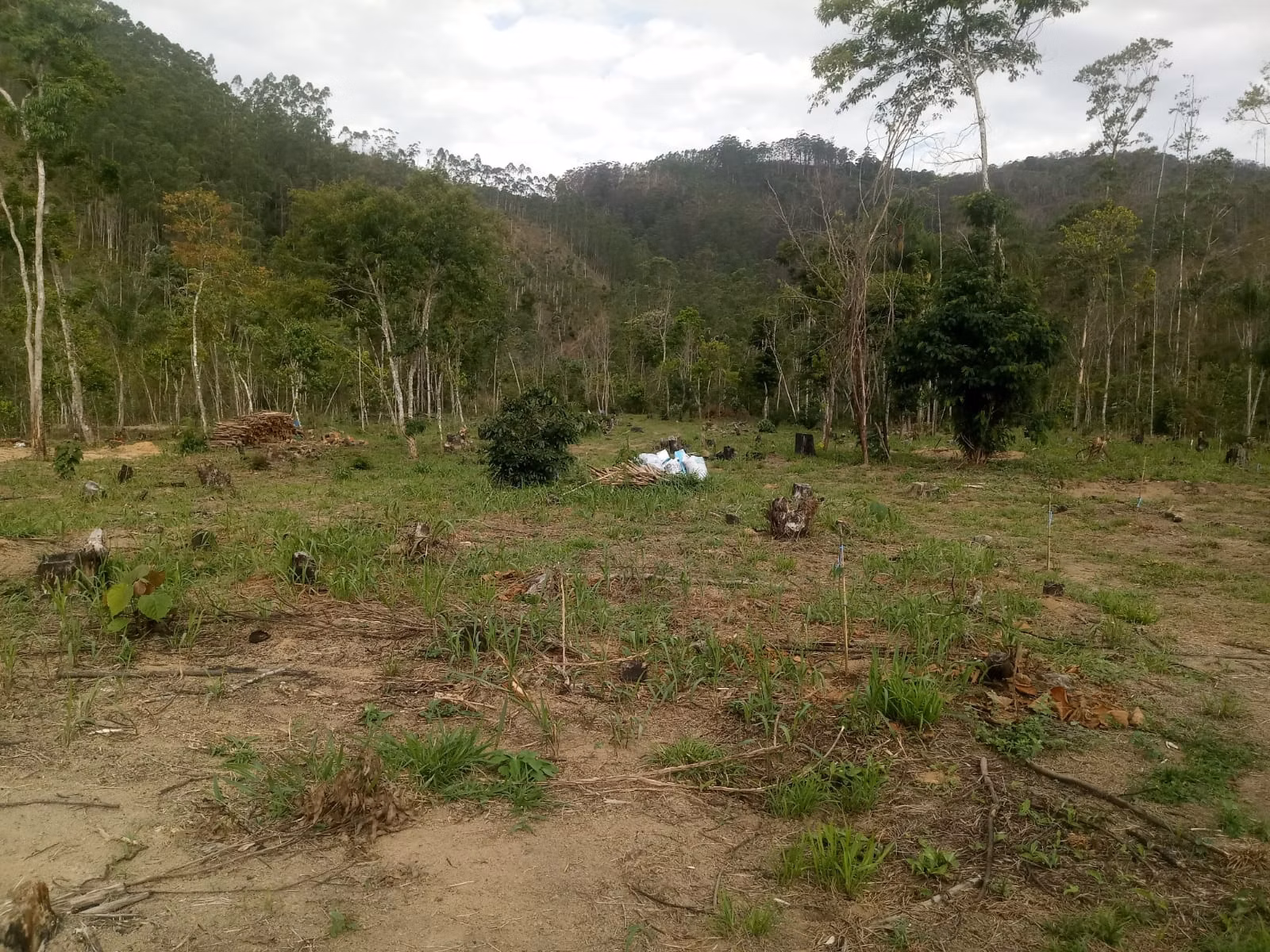 Sítio de 2 ha em Monteiro Lobato, SP