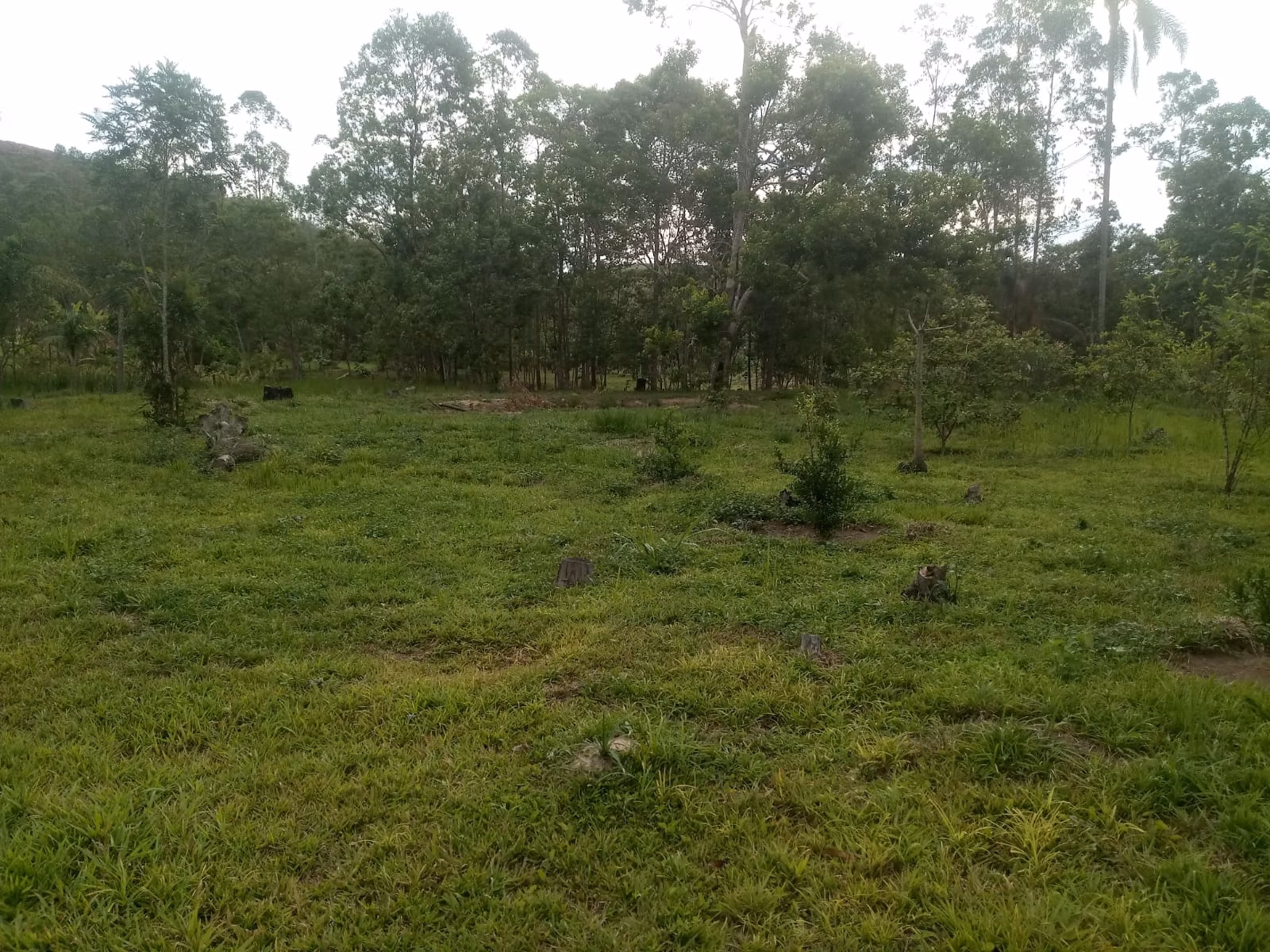 Sítio de 2 ha em Monteiro Lobato, SP