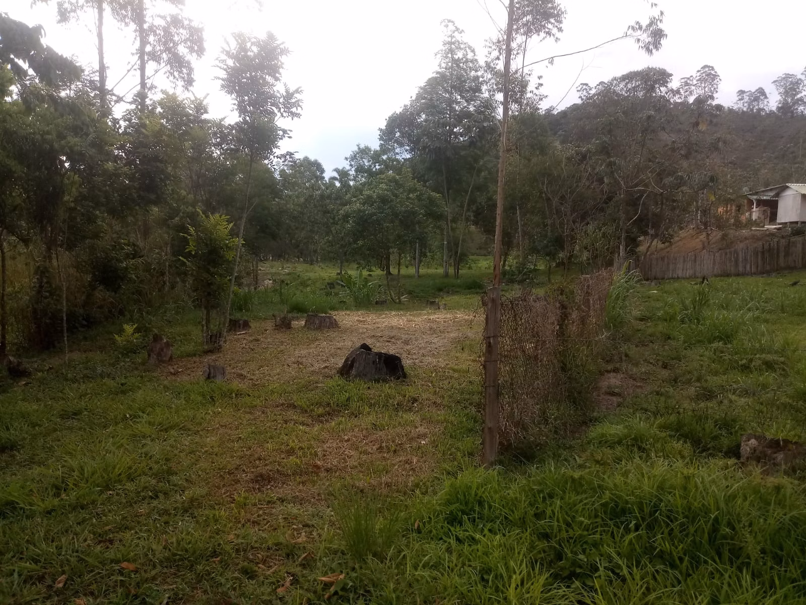 Sítio de 2 ha em Monteiro Lobato, SP