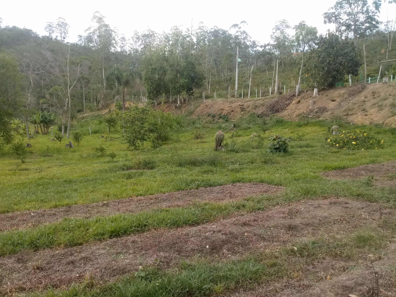 Sítio de 2 ha em Monteiro Lobato, SP
