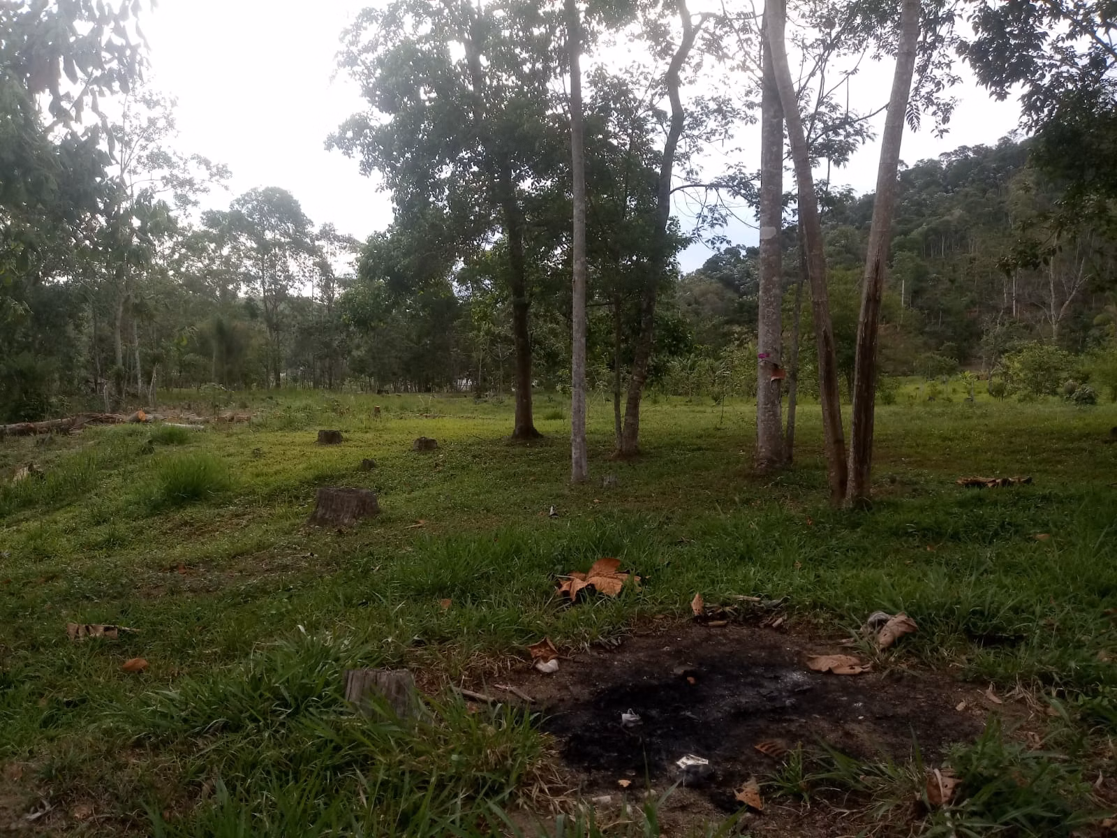 Sítio de 2 ha em Monteiro Lobato, SP