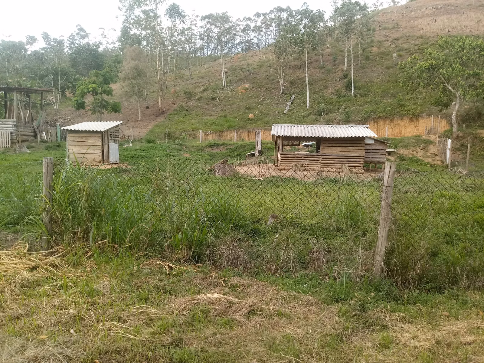 Sítio de 2 ha em Monteiro Lobato, SP